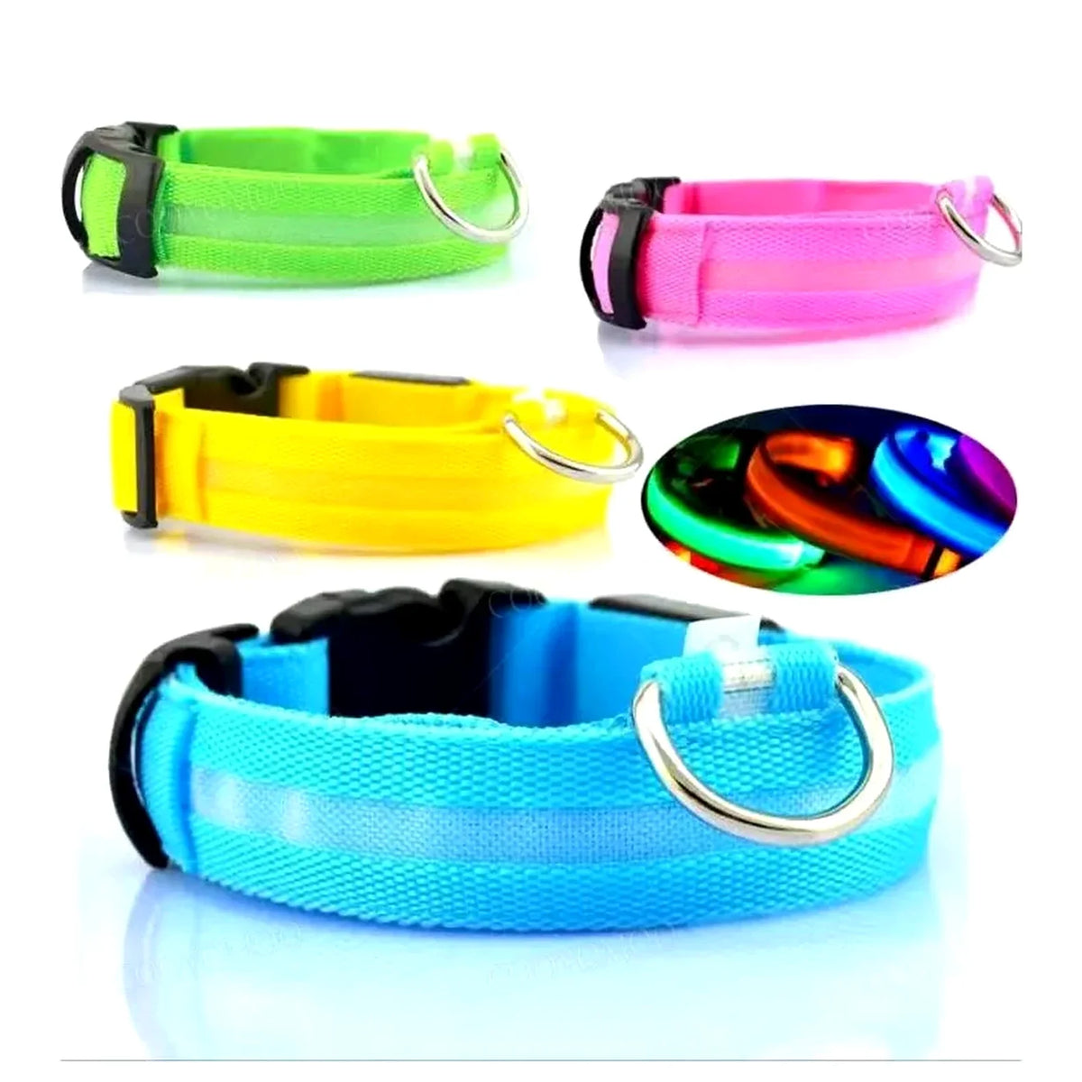 Collier lumineux pour chien