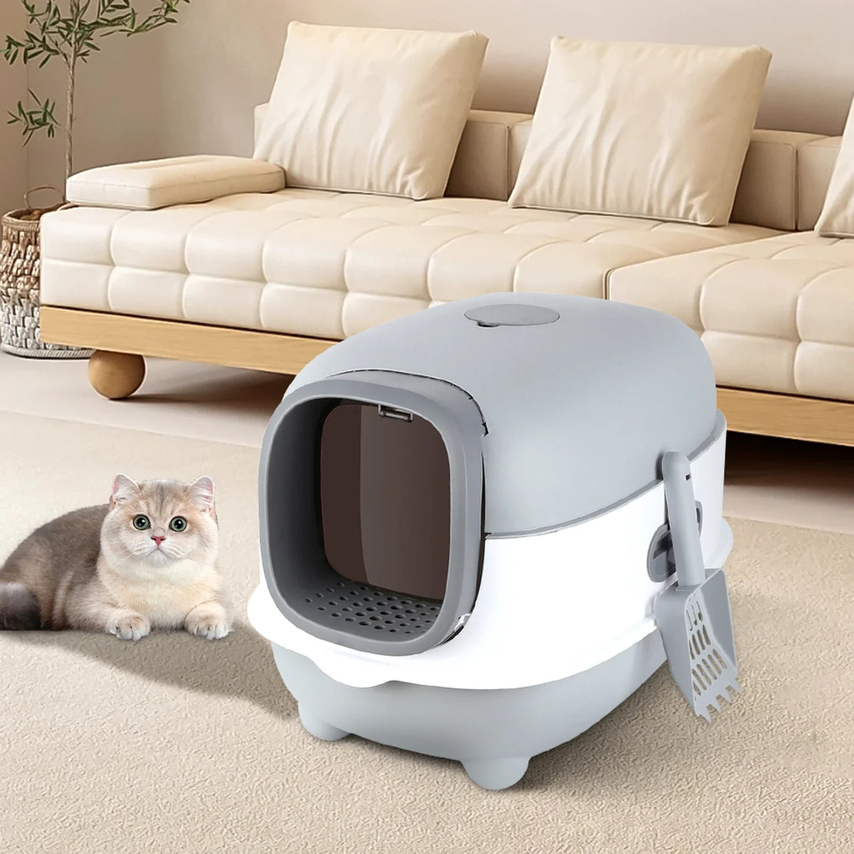 Maison de toilette fermée pour chat